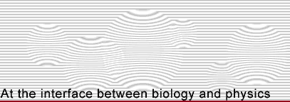 At the interface between biology and physics